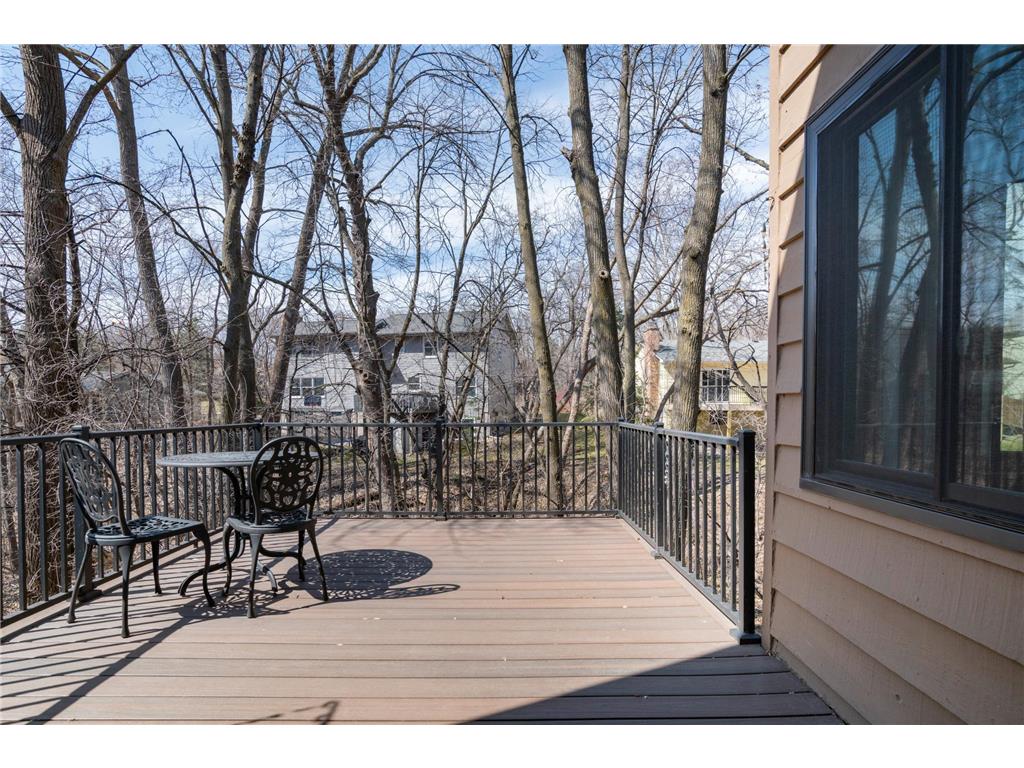 11360 36th Place N Plymouth MN 55441 7040393 image15