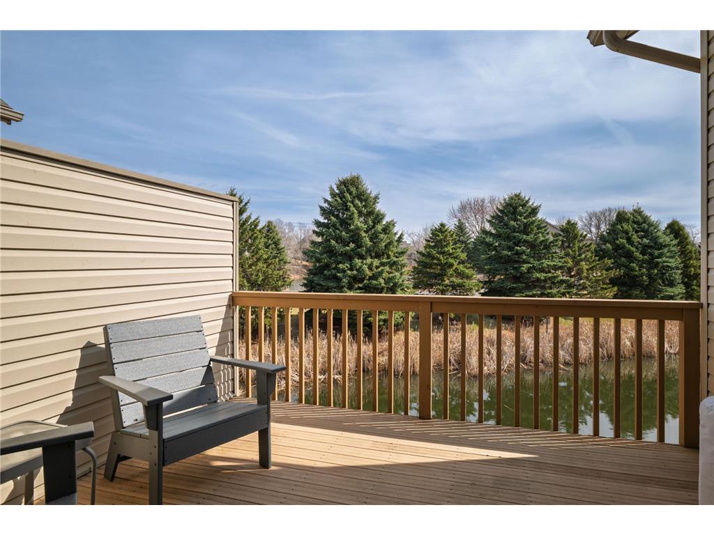 11362 Hillcrest Drive N Champlin MN 55316 7045228 image15