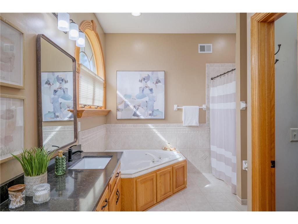 11362 Hillcrest Drive N Champlin MN 55316 7045228 image18