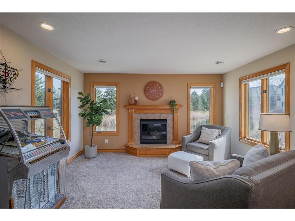 11362 Hillcrest Drive N Champlin MN 55316 7045228 image21