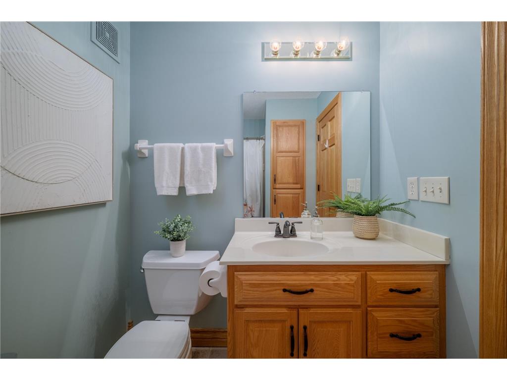 11362 Hillcrest Drive N Champlin MN 55316 7045228 image25