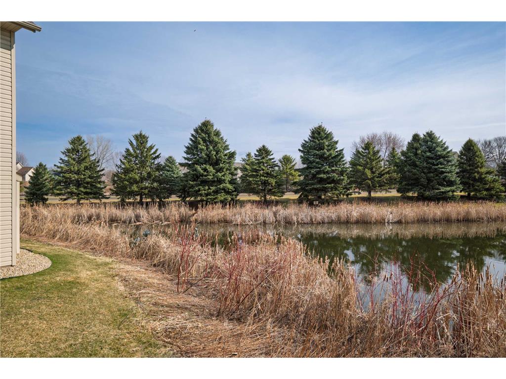 11362 Hillcrest Drive N Champlin MN 55316 7045228 image36