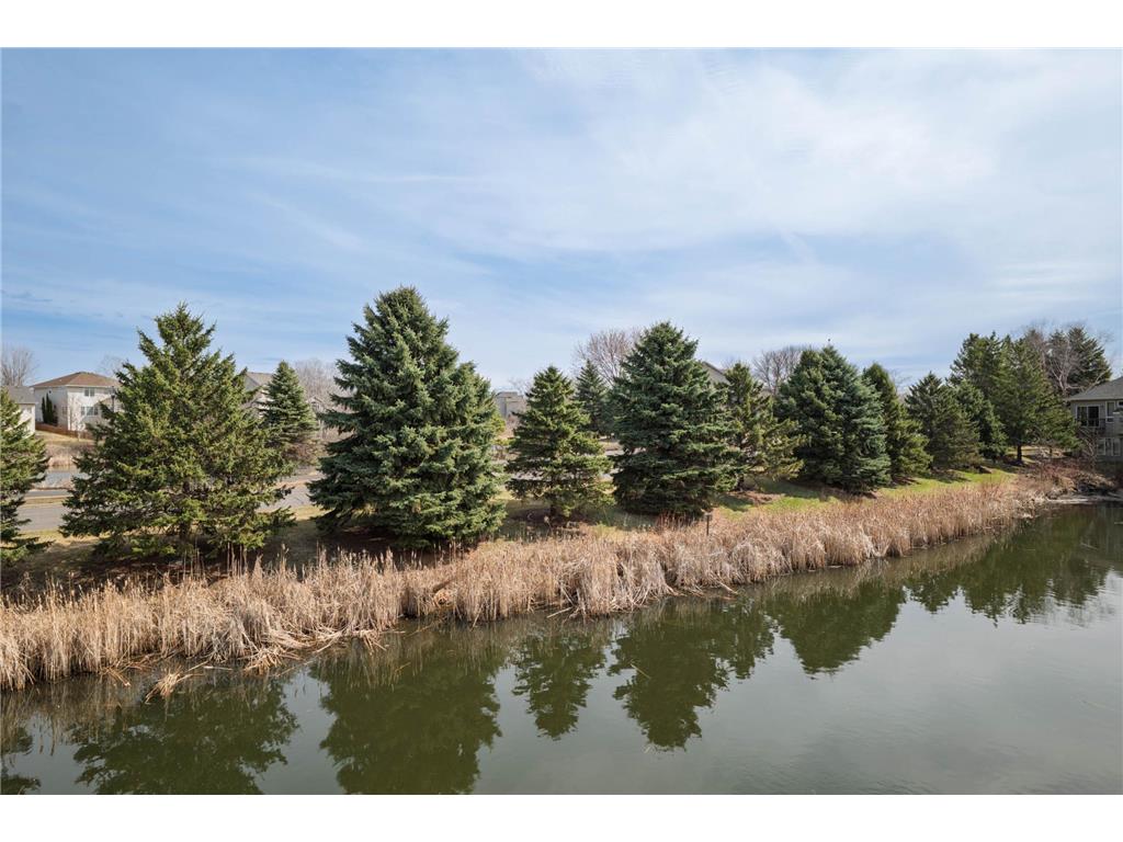 11362 Hillcrest Drive N Champlin MN 55316 7045228 image37