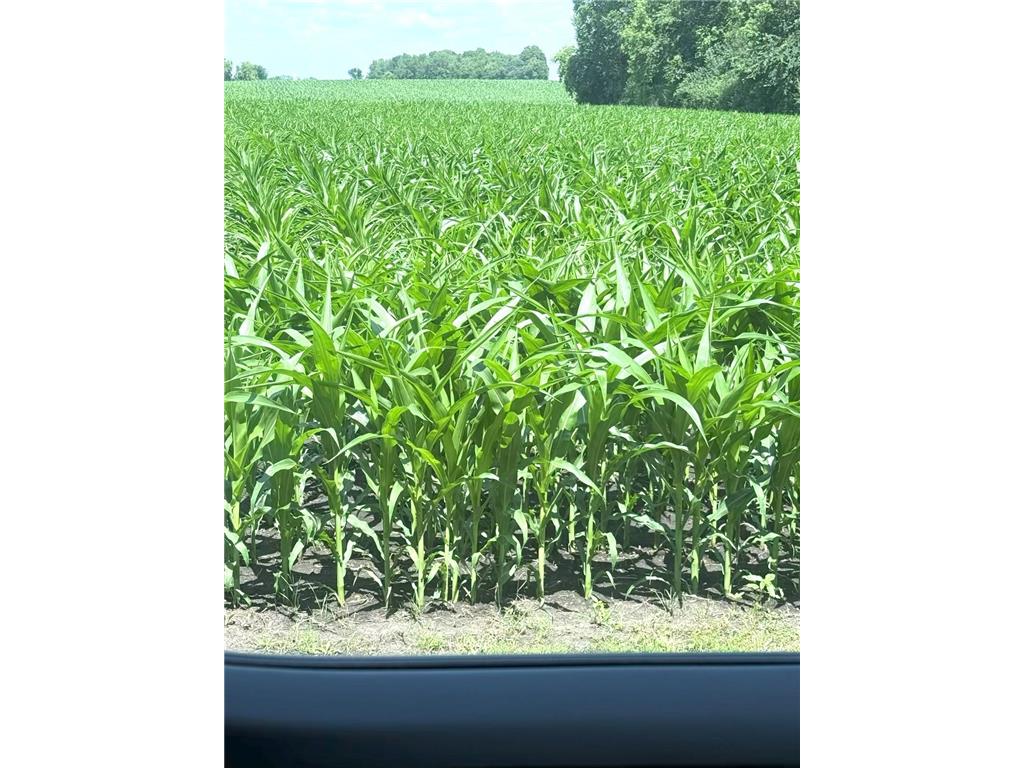 11365 Platt Avenue SW Cokato MN 55321 - Shakopee 6644436 image27