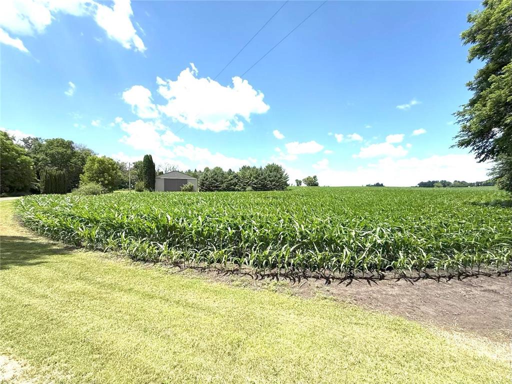 11365 Platt Avenue SW Cokato MN 55321 - Shakopee 6644436 image29