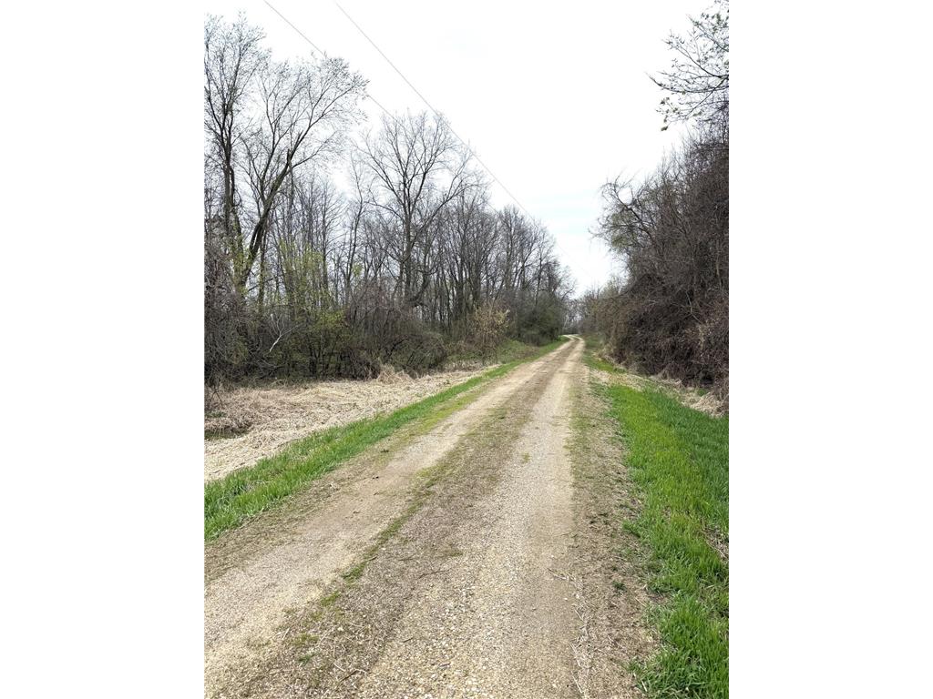 11365 Platt Avenue SW Cokato MN 55321 - Shakopee 6644436 image3