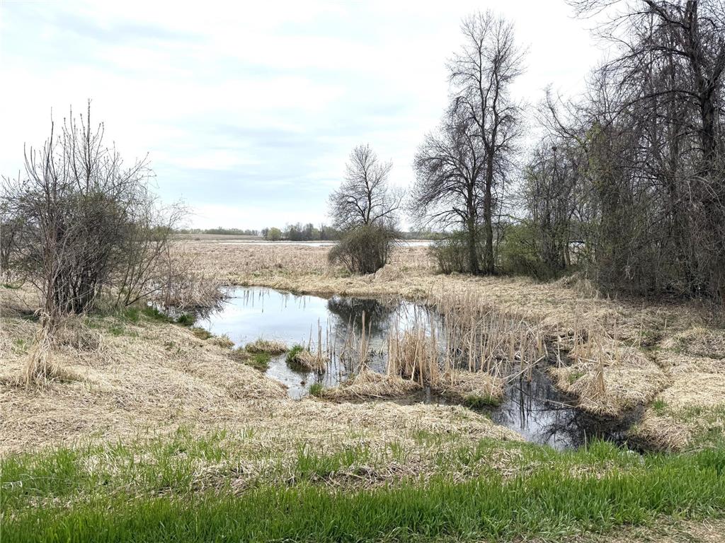 11365 Platt Avenue SW Cokato MN 55321 - Shakopee 7021582 image17