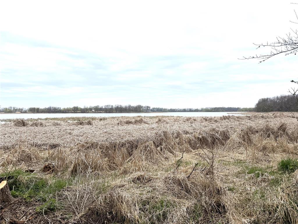 11365 Platt Avenue SW Cokato MN 55321 - Shakopee 7021582 image24