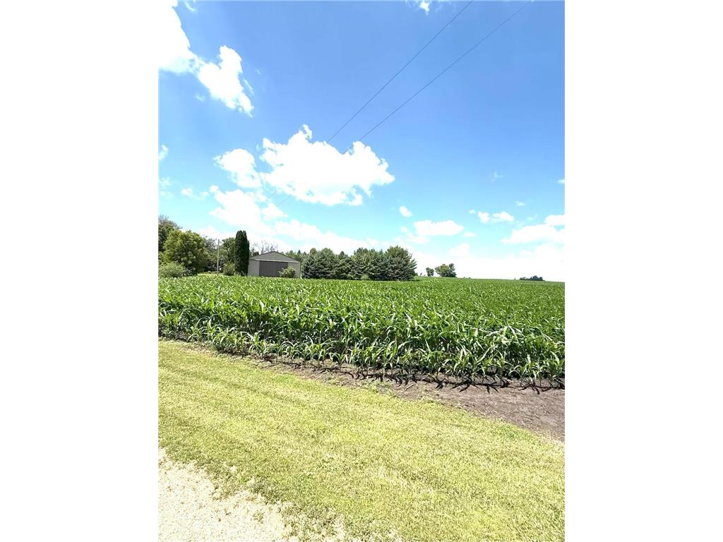 11365 Platt Avenue SW Cokato MN 55321 - Shakopee 7021582 image28