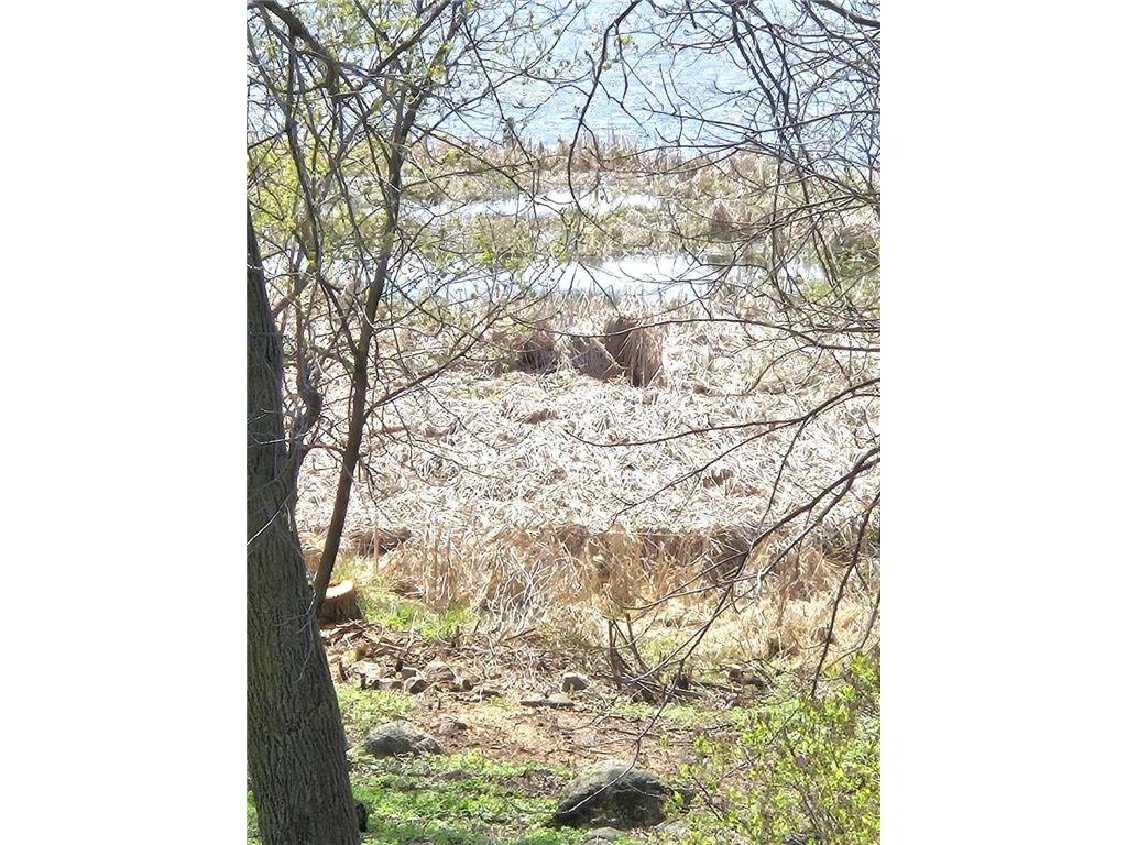 11365 Platt Avenue SW Cokato MN 55321 - Shakopee 7021582 image4