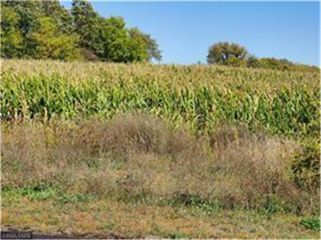 1137 178th St./Dalton Farm Road Lot 17 Hammond WI 54015 6640331 image3