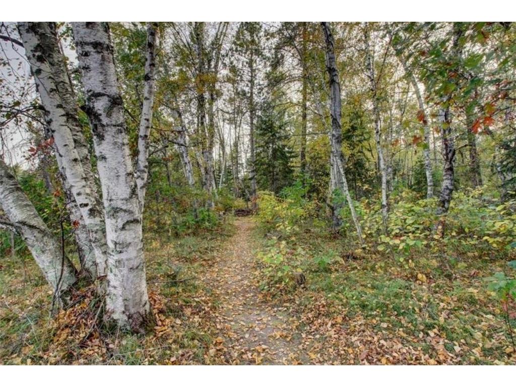 1137 Fern Avenue SE Menahga MN 56464 6700743 image1