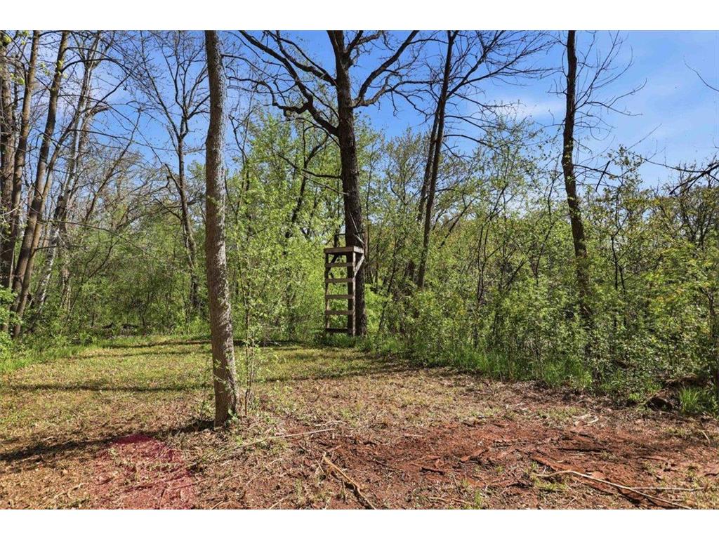 11370 Gem Street Milaca Twp MN 56353 - Rum River 7074831 image36