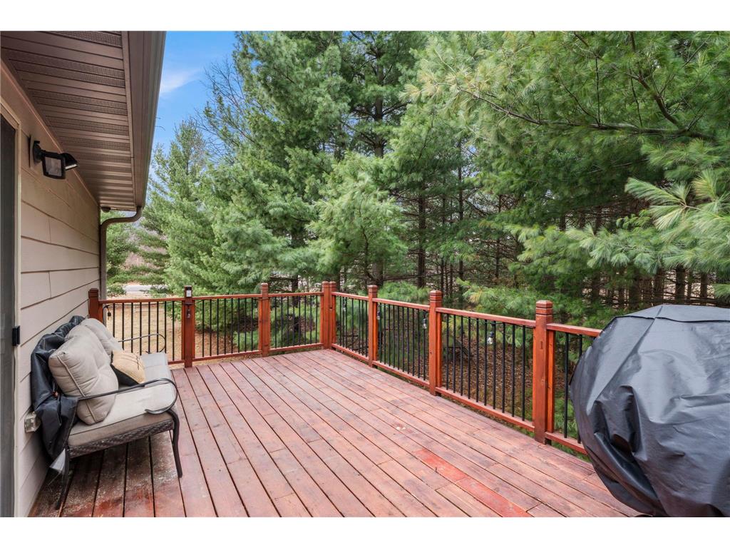 11384 269th Avenue NW Livonia Twp MN 55398 7056295 image49