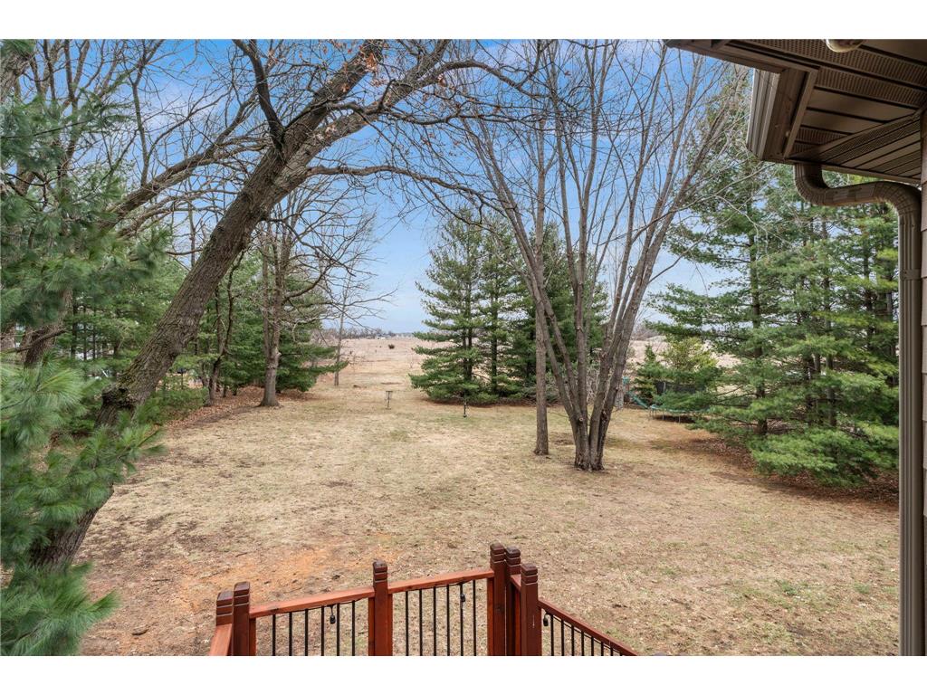 11384 269th Avenue NW Livonia Twp MN 55398 7056295 image5