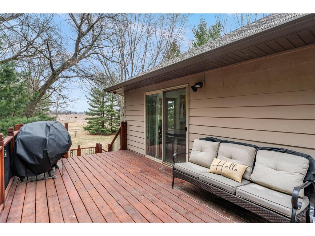 11384 269th Avenue NW Livonia Twp MN 55398 7056295 image50