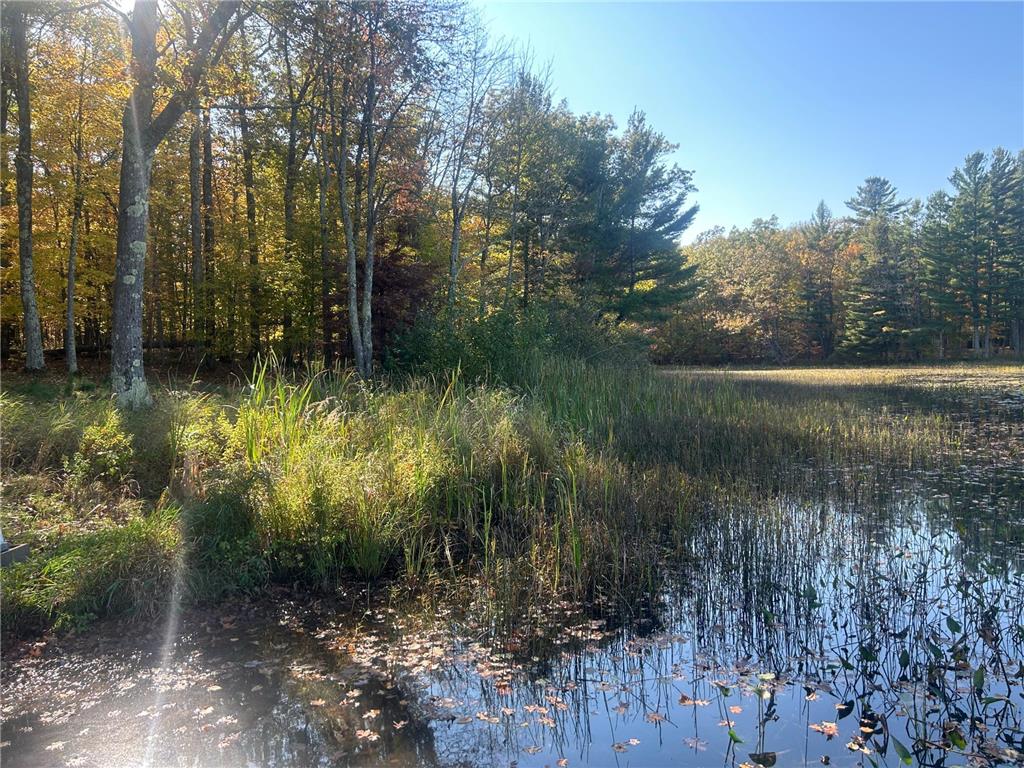 11404 N Farnsworth Road Round Lake Twp WI 54843 - Tiger Cat Flowage 7063255 image11