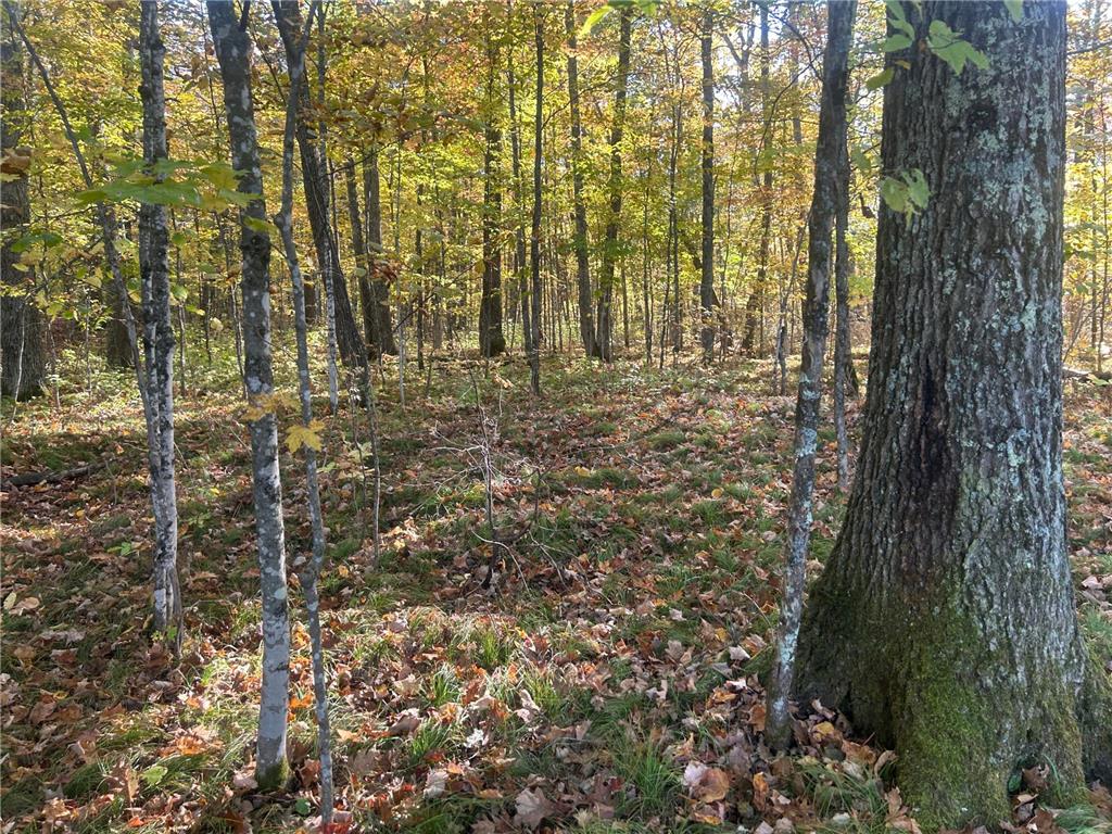11404 N Farnsworth Road Round Lake Twp WI 54843 - Tiger Cat Flowage 7063255 image12
