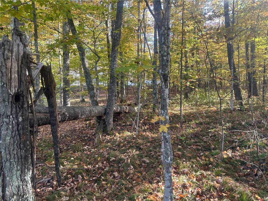11404 N Farnsworth Road Round Lake Twp WI 54843 - Tiger Cat Flowage 7063255 image13