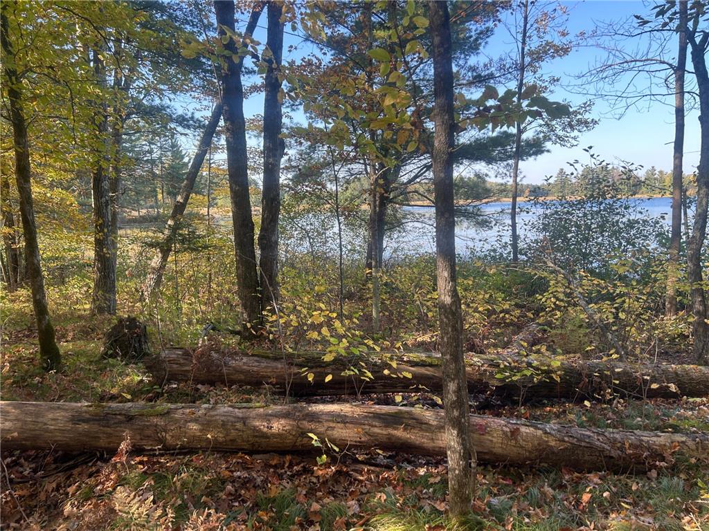 11404 N Farnsworth Road Round Lake Twp WI 54843 - Tiger Cat Flowage 7063255 image14
