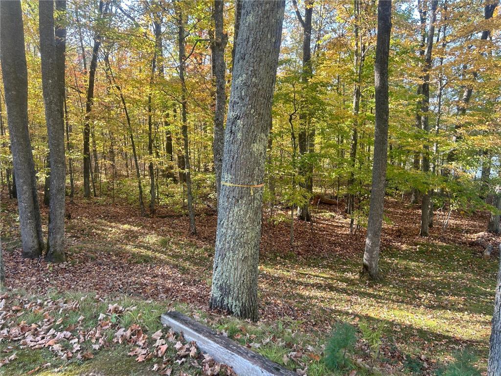 11404 N Farnsworth Road Round Lake Twp WI 54843 - Tiger Cat Flowage 7063255 image5