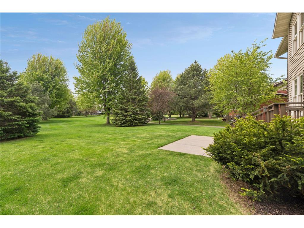 11409 Balsam Way Woodbury MN 55129 7063539 image52