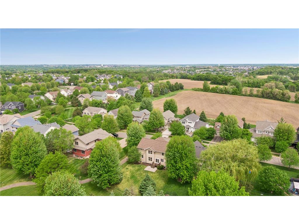 11409 Balsam Way Woodbury MN 55129 7063539 image61