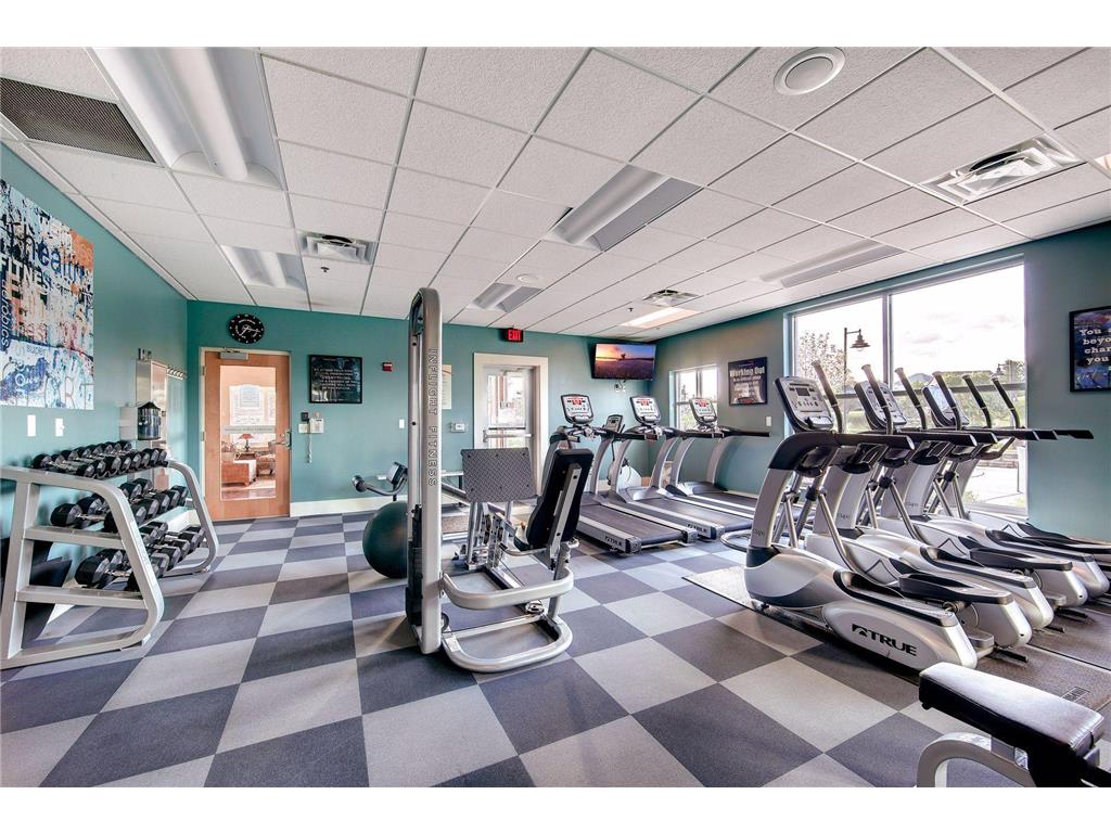 11409 Balsam Way Woodbury MN 55129 7063539 image77