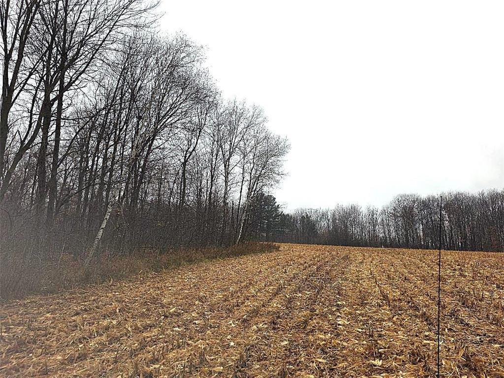 1141 12th Ave. Arland Twp WI 54812 6820371 image1