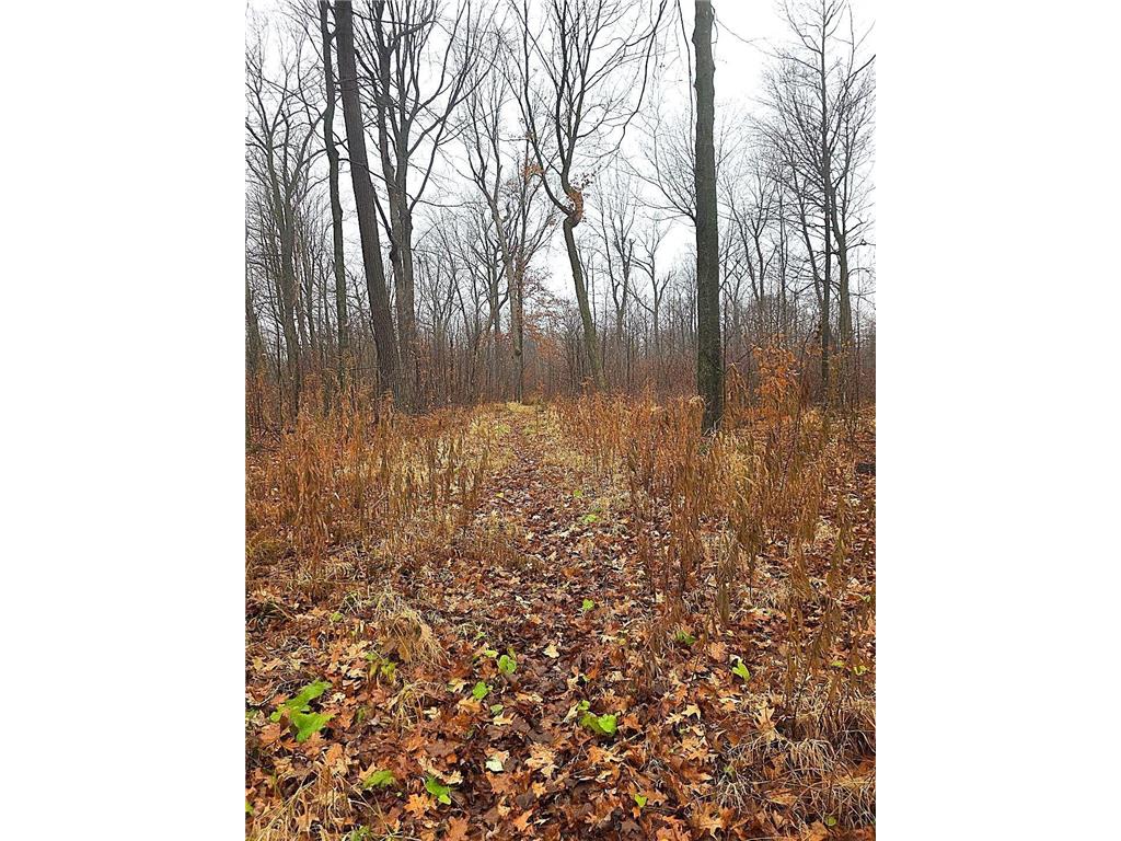 1141 12th Ave. Arland Twp WI 54812 6820371 image10