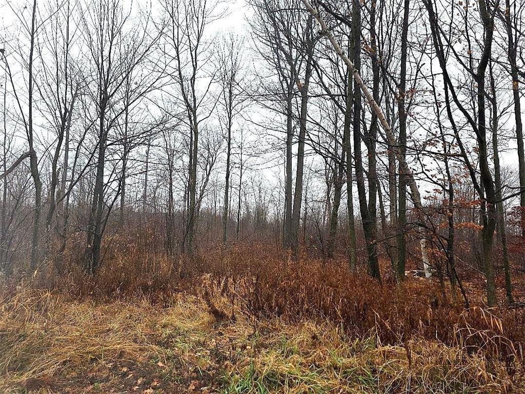 1141 12th Ave. Arland Twp WI 54812 6820371 image11