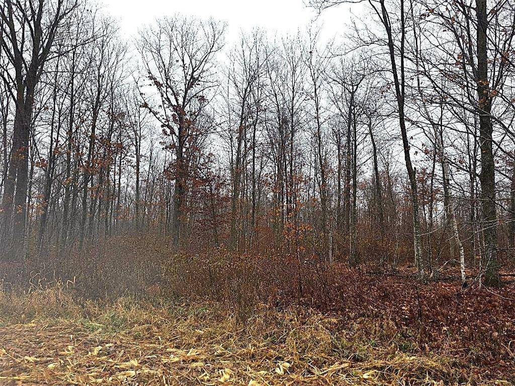 1141 12th Ave. Arland Twp WI 54812 6820371 image12