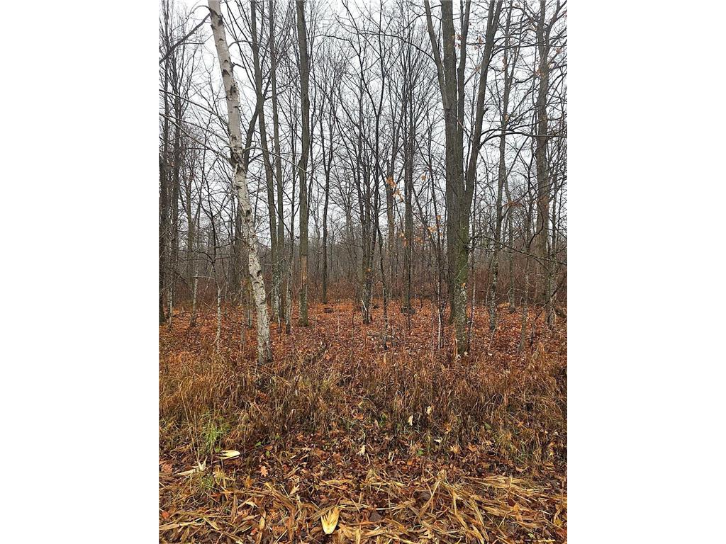 1141 12th Ave. Arland Twp WI 54812 6820371 image13