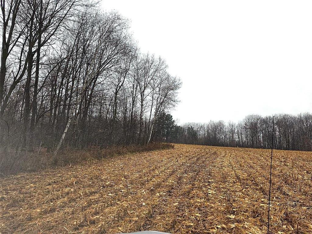 1141 12th Ave. Arland Twp WI 54812 6820371 image14