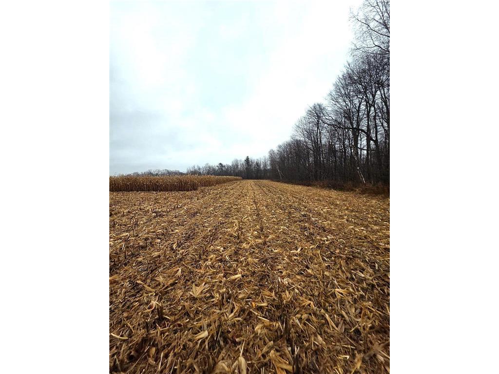 1141 12th Ave. Arland Twp WI 54812 6820371 image15