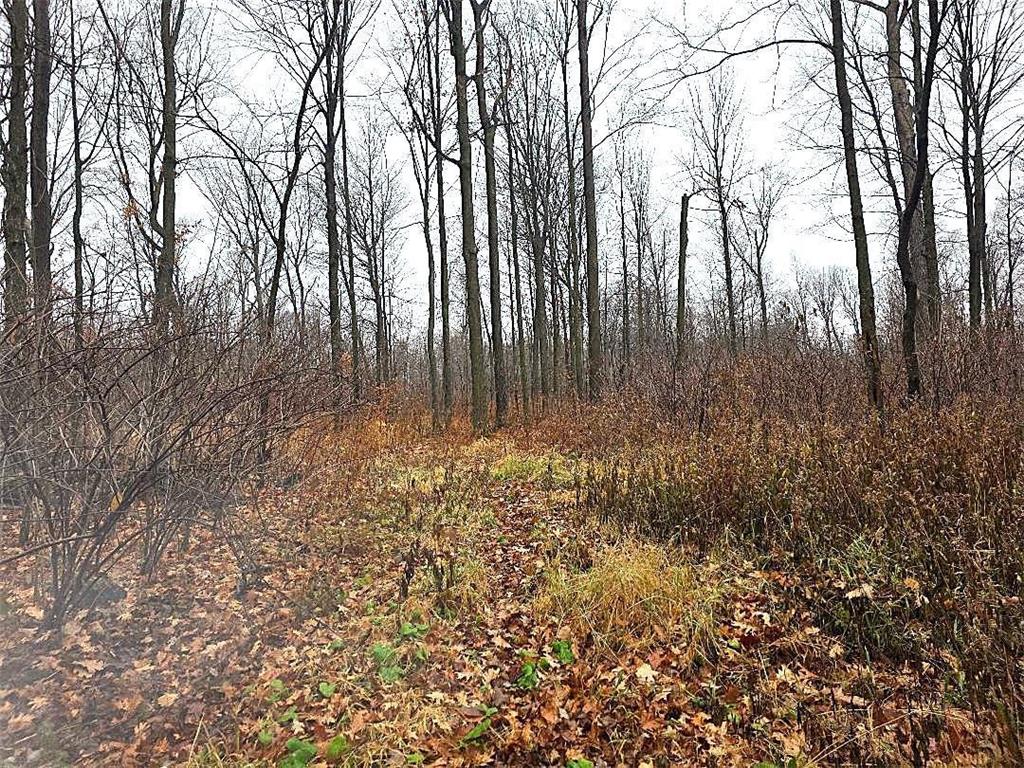 1141 12th Ave. Arland Twp WI 54812 6820371 image18