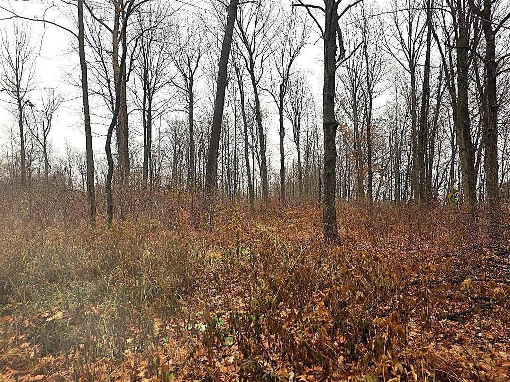 1141 12th Ave. Arland Twp WI 54812 6820371 image6