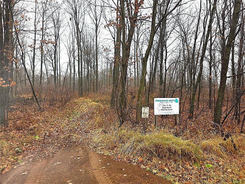 1141 12th Ave. Arland Twp WI 54812 6820371 image7