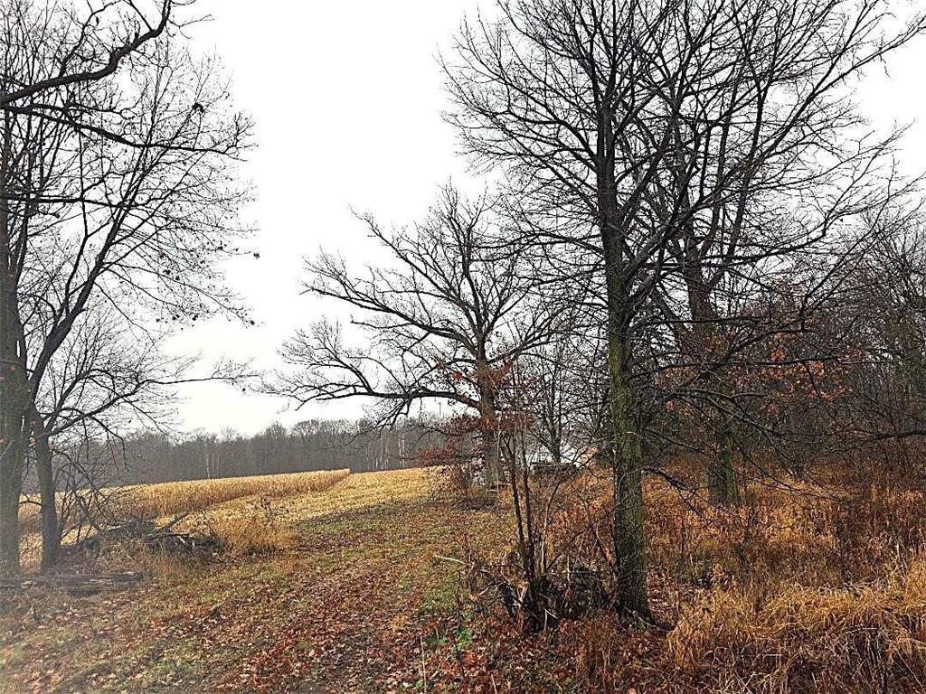 1141 12th Ave. Arland Twp WI 54812 6820371 image8