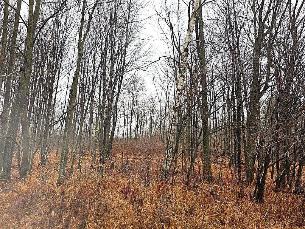 1141 12th Ave. Arland Twp WI 54812 6820371 image9