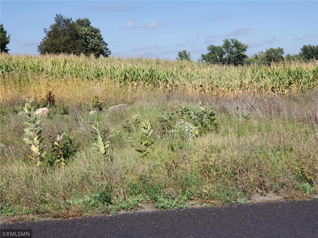 1141 178th St./Dalton Farm Road Lot 19 Hammond WI 54015 7043451 image1
