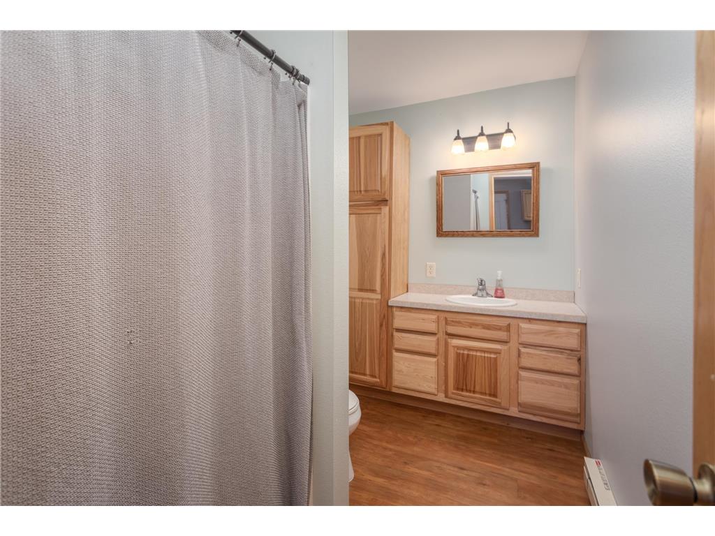 11421 Abby Lane NW Alexandria MN 56308 - Ida 7044742 image25