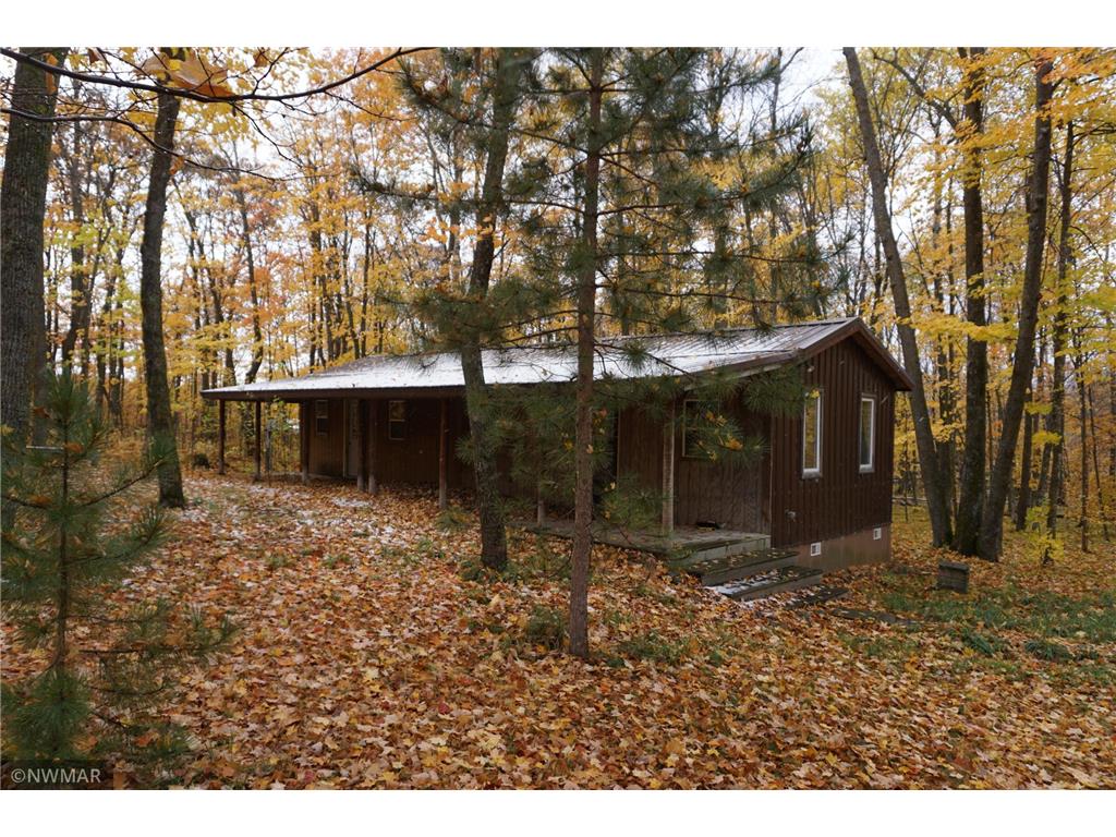 11438 Norway Drive, Lake Alice Twp, MN, 56461 MLS 6304917 Edina Realty