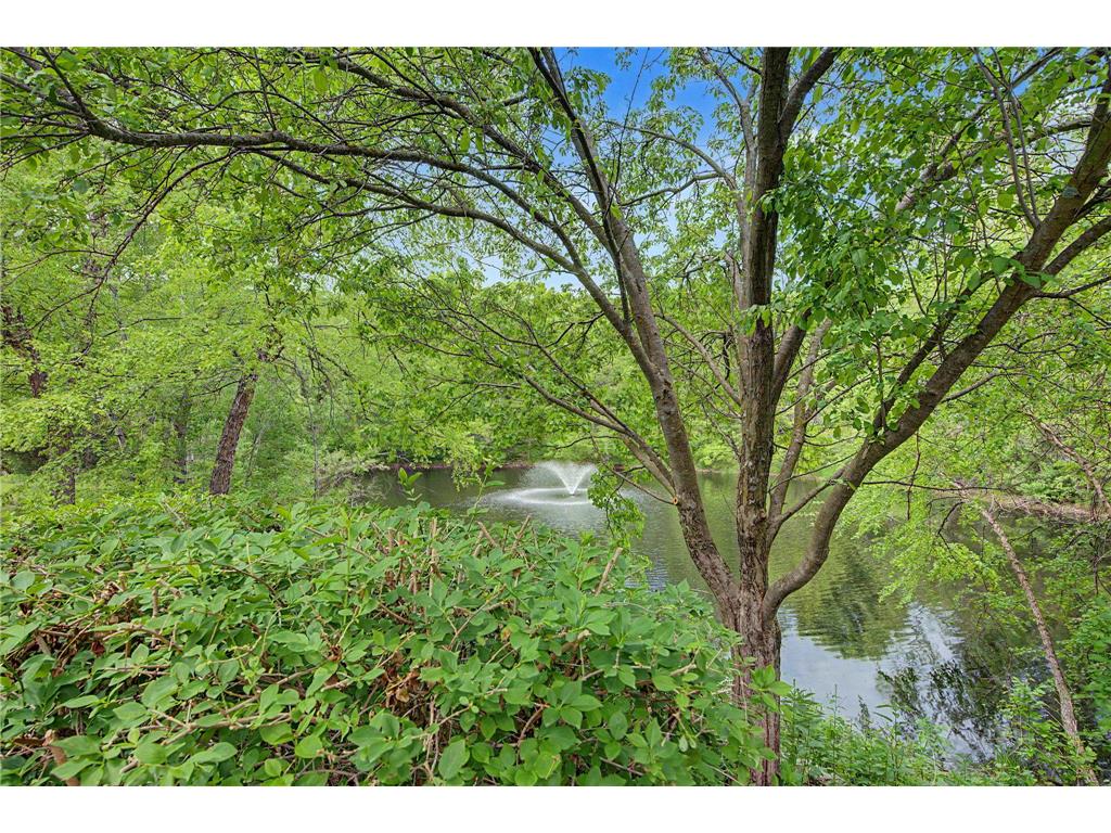 11445 Landing Road Eden Prairie MN 55347 7080457 image52