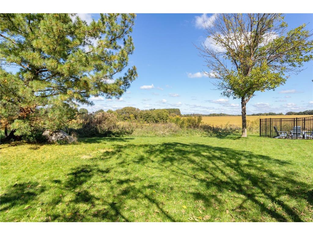 11446 Balsam Way Woodbury MN 55129 7005701 image30