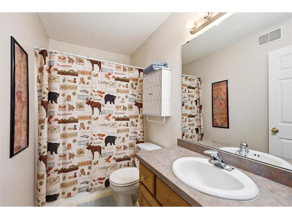 1145 159th Avenue NW Andover MN 55304 7105004 image25