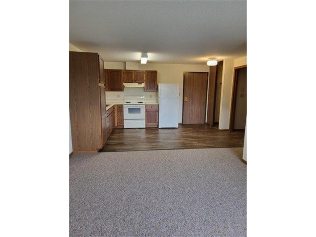 1145 Friberg Avenue Fergus Falls MN 56537 6427117 image7