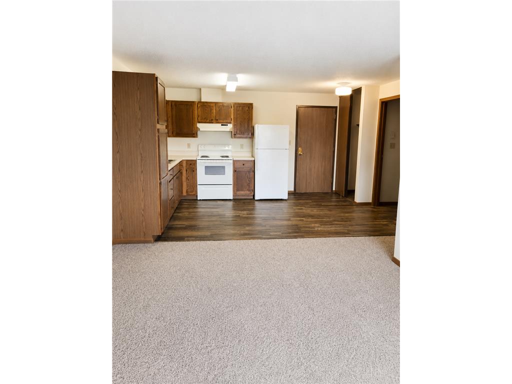1145 Friberg Avenue Fergus Falls MN 56537 7070475 image4