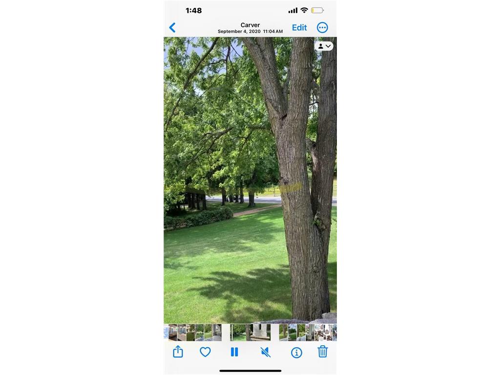 1145 Mount Hope Road Carver MN 55315 7091352 image11