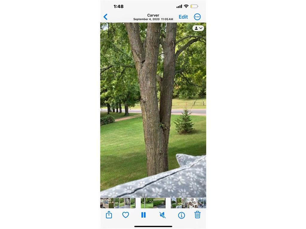 1145 Mount Hope Road Carver MN 55315 7091352 image17